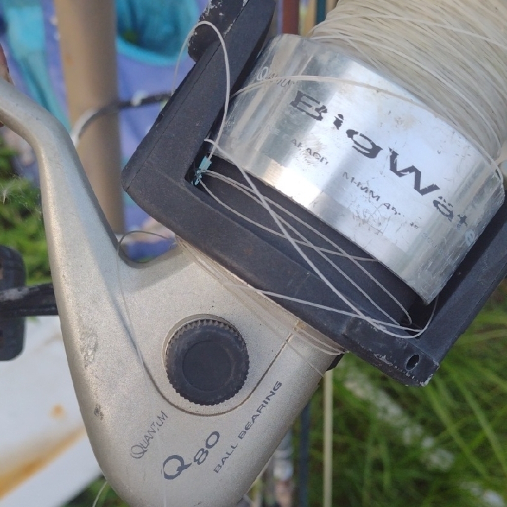 Quantum Q80 Big Water Fishing Reel